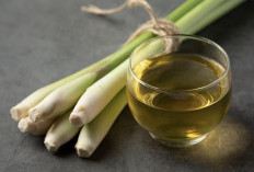 5 Minuman Hangat Bantu Redakan Gejala Masuk Angin, Mudah Dibuat