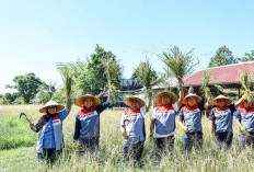 Komisaris Pertamina Apresiasi Program TJSL Uma Palak Lestari, Wujud Nyata Swasembada Pangan dan Energi di Bali