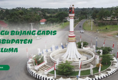 Kelebihan Bayar Gaji dan TPP ASN Seluma Capai Rp221 Juta, Pegawai Bermasalah Jadi Penyumbang Terbesar