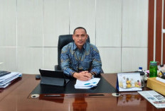 Bulog Bengkulu Serap 4.783 Ton Beras, Target 2026 Terlampaui 50,19 Persen