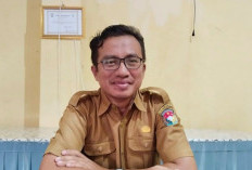 Kasus Gigitan Rabies di Mukomuko Menurun, Dinkes Ungkap Kucing Jadi Penyebab Terbanyak