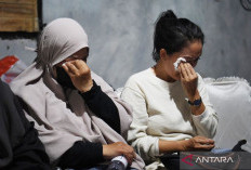 DNA Jenazah di Enggano Dicocokkan dengan Keluarga KM Arupadatu I, Hasil Butuh 2 Pekan