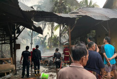Meubel di Bengkulu Selatan Ludes Terbakar, Damkar Padamkan Api dalam 10 Menit