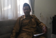 Disnaker Kota Bengkulu Catat 287 Pencari Kerja hingga Pertengahan 2026, Naik dari Tahun Lalu