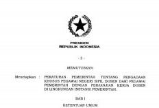 Kenapa Dosen PPPK Bisa Dialihkan Jadi PNS? Ini Alasan Pemerintah
