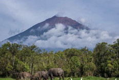 Jalur Pendakian Gunung Kerinci Dibuka Kembali, Ini Syarat yang Wajib Dipatuhi