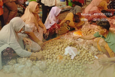 Dana Desa 2026 Bengkulu Tengah Tembus Rp38,3 Miliar, Ini Desa Penerima Terbesar 