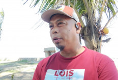 Pemkot Bengkulu Tata Taman Median Jalan, Libatkan Partisipasi Warga