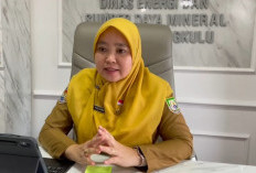 Pemprov Bengkulu Pastikan Stok Biosolar Aman, Antrean SPBU Dipicu Lonjakan Konsumen