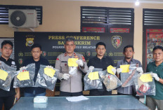 Buntut Bentrok Berdarah di Pino Raya, 3 Petani dan Satu Pihak Perusahaan Jadi Tersangka