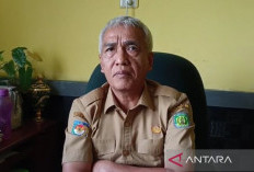 Bengkulu Tengah Dapat Kuota Bibit Kopi 500 Hektare, Petani Diminta Segera Mengusulkan