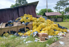 Lingkungan RSUD Tais Tercemar Sampah, DLH Janji Gerak Cepat Usai Armada Diperbaiki