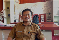 Jaga Ketahanan Pertanian, Mukomuko Perkuat Pengawasan Organisme Pengganggu Tanaman