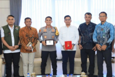 Kasus Gajah Mati Naik ke Tersangka Korporasi, Kemenhut Perkuat Penegakan Hukum di Bentang Seblat