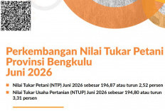 Biaya Produksi Petani Bengkulu Naik, NTUP Turun 3,31 Persen pada Juni 2026