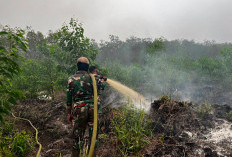Kekeringan Berdampak pada 267.913 Jiwa, BNPB Salurkan 3 Juta Liter Air Bersih