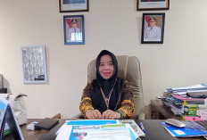 Gratis dan Mudah, Pemkot Bengkulu Ajak UMKM Segera Urus NIB untuk Legalitas Usaha