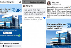 Di Balik Janji Cuan Instan, Ada Jebakan: Waspada Hoaks Investasi Saham yang Mengatasnamakan BRI