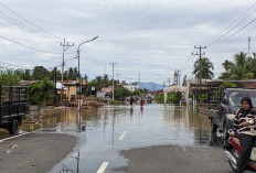 Update Data Banjir Bengkulu:  10.868 Jiwa Terdampak, Pendataan Masih Berjalan
