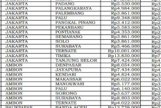 Tiket Pesawat Jayapura-Manado 2026 Tembus Rp22,1 Juta, Ini Rincian Rute Lain