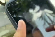 Polisi Selidiki Video Asusila Diduga Libatkan Pelajar di Rejang Lebong, Masyarakat Diminta Tak Sebarkan