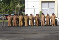 Pemkab Kaur Alokasikan Rp48,5 Miliar, TPP ASN Dipastikan Cair Setiap Bulan 