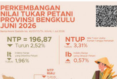 NTP Bengkulu Turun 2,52 Persen pada Juni 2026, Pendapatan Petani Tertekan Meski Hortikultura Melonjak