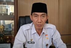 Realisasi Investasi Bengkulu Triwulan I 2026 Tembus Rp2,331 Triliun