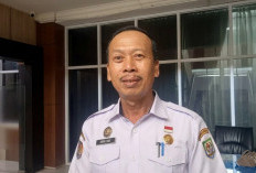 Pemprov Bengkulu Pastikan Sapi Kurban Presiden Sehat, Seleksi dan Pengawasan Dilakukan Ketat