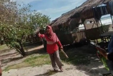 Viral Pengunjung Pantai Panjang Diusir Pedagang, Wali Kota Bengkulu Buka Suara