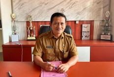 Distan Mukomuko Terima Bantuan 5.000 Dosis Vaksin PMK dari Pusat