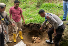 Geger Temuan Tengkorak di Kepahiang, Polisi Tunggu Identifikasi dan Panggil Ahli Arkeologi