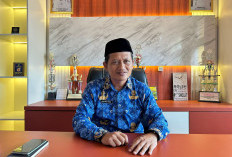 Ancaman Hama Serang Sawah Mukomuko, Distan Siapkan Langkah Pengendalian