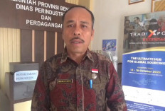 Harga Cabai di Bengkulu Tembus Rp90 Ribu per Kg, Pemprov Siapkan Bantuan Ongkir