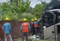 Bus SAN Rute Pekanbaru–Bengkulu Kecelakaan di Sarolangun, 52 Penumpang Selamat