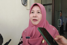 Bengkulu Gaspol Salurkan Benih Padi dan Jagung, Target Rampung Musim Tanam Kedua