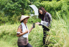 BRI Salurkan KUR Rp178,08 Triliun di 2025, Lebih dari 60% Mengalir ke Sektor Produksi Penggerak Ekonomi Rakyat
