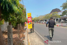 Ratusan Reklame Ditertibkan di Kota Bengkulu, Baliho Menunggak Pajak Jadi Sasaran