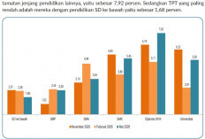 TPT Bengkulu Turun Jadi 3,20 Persen, Tapi Pengangguran Lulusan Diploma Melonjak