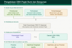 Daerah Penerima DBH di Bawah Rp100 Juta Bisa Cair Sekaligus, Pelaporan Kini Wajib Digital