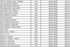 Standar Biaya Makan PMKS 2026 Terbit, Bengkulu Rp31 Ribu per Hari, Papua Pegunungan Tertinggi