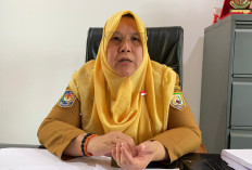 Pemprov Bengkulu Andalkan APBD untuk 5.000 Dosis Vaksin Rabies