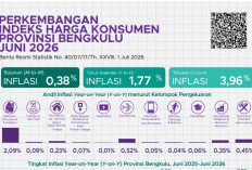 BPS: Biaya Pendidikan dan Rekreasi di Bengkulu Naik, Mainan Anak Jadi Pemicu Inflasi