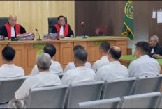 Kasus Tambang Bengkulu, Beby Hussy Dituntut Berlapis, Kuasa Hukum Soroti Pembagian Tanggung Jawab