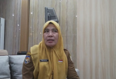 Peserta PPPK Paruh Waktu Bengkulu yang Sempat TMS Kini Lolos, Pertek Tersisa 30 Berkas
