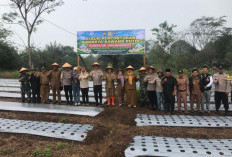 Polres Rejang Lebong Kembangkan Bawang Putih di Lahan 0,25 Hektare