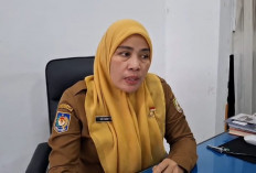 Pertek PPPK Paruh Waktu Bengkulu Hampir Rampung, 4.365 Usulan Sudah Terbit