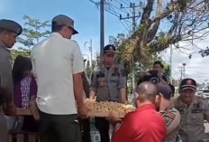 Satpol PP Mukomuko Lakukan Penertiban Humanis Pedagang di Sekitar Bundaran Kota