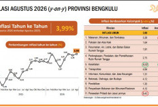 Ongkos Bepergian di Bengkulu Makin Mahal, Jasa Angkutan Melonjak 17,47 Persen