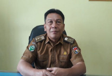 DP2KBP3A Mukomuko Libatkan Kader Desa dalam Program Makan Bergizi Gratis